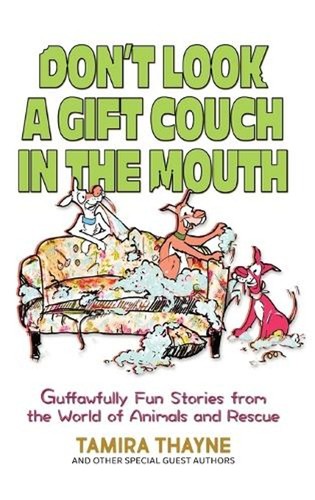 Don look gift couch in - couch,